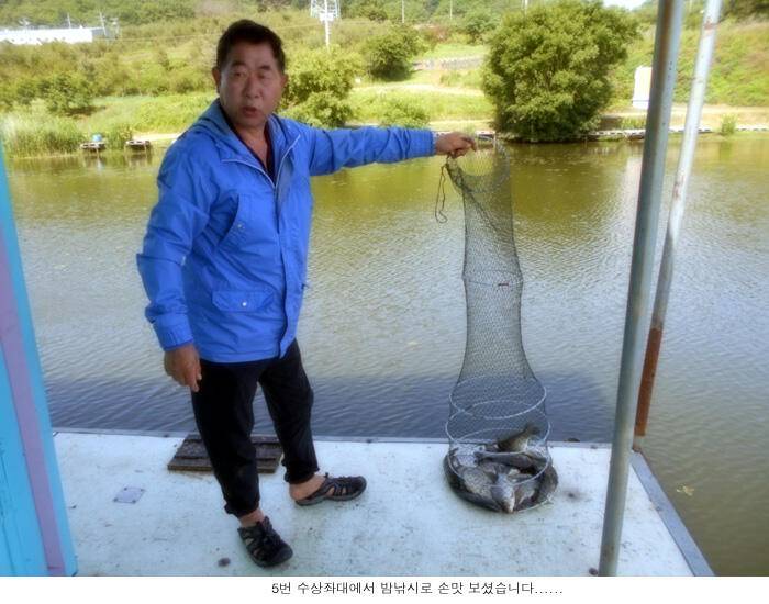 토종붕어 방류와 조황입니다 (유료터정보 - 유료터점주조황)
