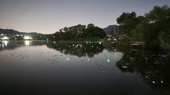 아산 명품 월랑낚시터 5월 세번째 조황이야기입니다 (유료터정보 - 유료터점주조황)