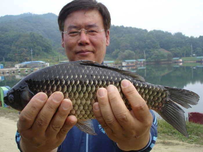 빵좋은 붕어월척 특급 (유료터정보 - 유료터점주조황)