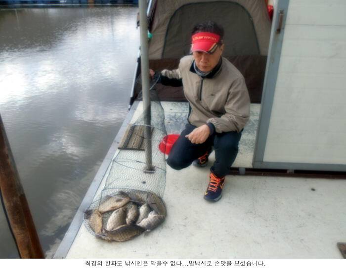 최강의 한파라지만 (유료터정보 - 유료터점주조황)