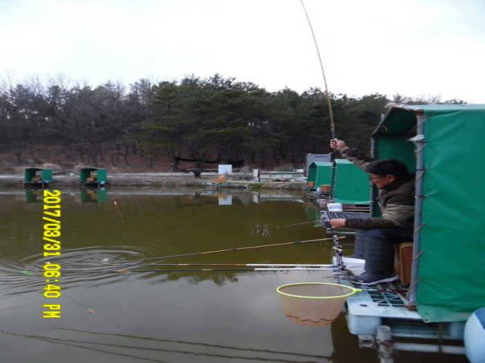 경주동산낚시터 (유료터정보 - 유료터점주조황)