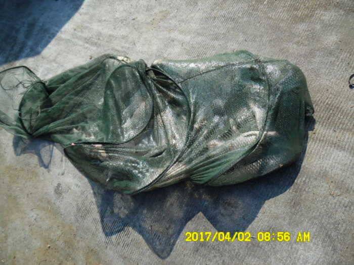경주동산낚시터 (유료터정보 - 유료터점주조황)