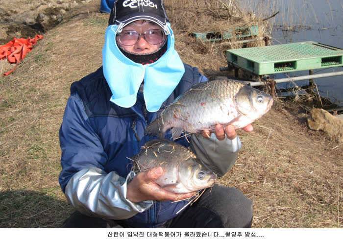 이정도 조황이면 (유료터정보 - 유료터점주조황)
