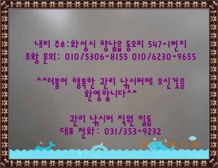 도심속의 작은 쉼터 화성 관리 낚시터입니다밤이 좋아라 (유료터정보 - 유료터점주조황)