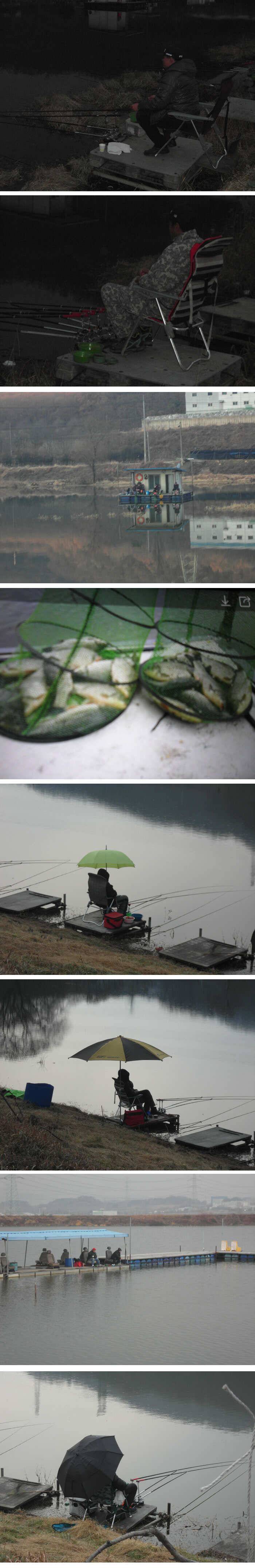 눈도오고비도오고날씨는 따뜻하니낚시하기 좋습니다 (유료터정보 - 유료터점주조황)