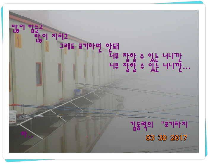 도심속의 작은 쉼터 화성 관리 낚시터입니다밤이 좋아 (유료터정보 - 유료터점주조황)