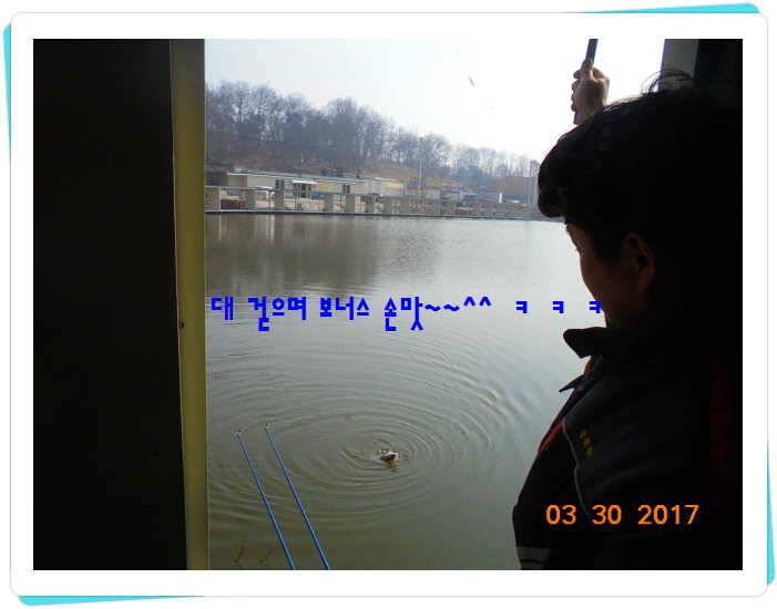 도심속의 작은 쉼터 화성 관리 낚시터입니다밤이 좋아 (유료터정보 - 유료터점주조황)
