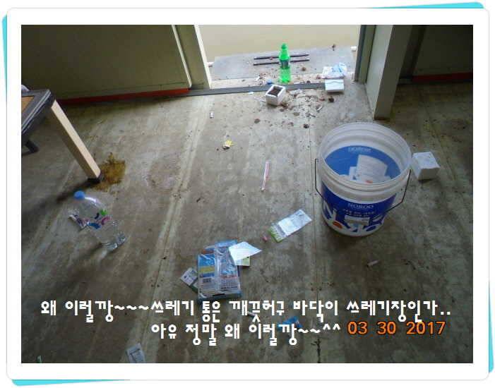 도심속의 작은 쉼터 화성 관리 낚시터입니다밤이 좋아 (유료터정보 - 유료터점주조황)
