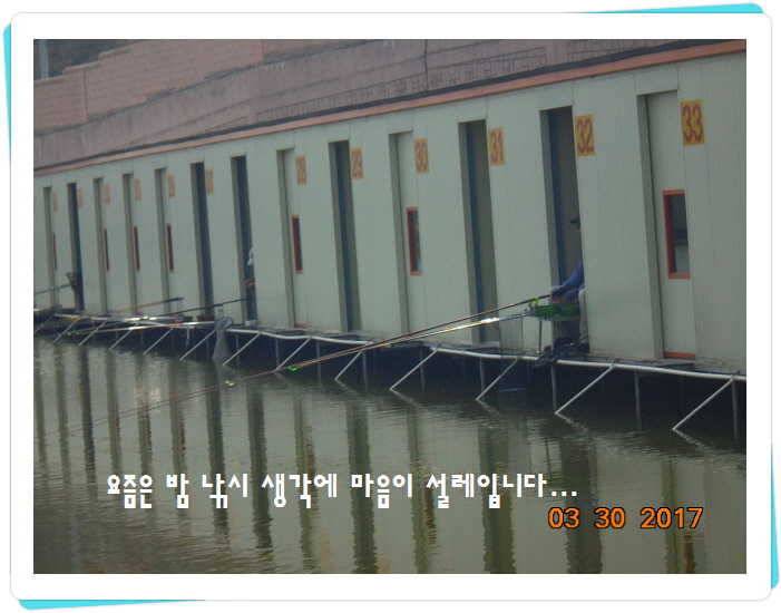 도심속의 작은 쉼터 화성 관리 낚시터입니다밤이 좋아 (유료터정보 - 유료터점주조황)