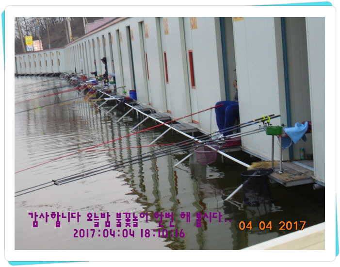 도심속의 작은 쉼터 화성 관리 낚시터입니다대박입니다 (유료터정보 - 유료터점주조황)