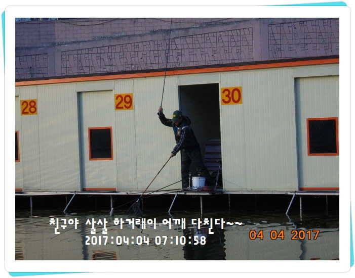 도심속의 작은 쉼터 화성 관리 낚시터입니다 (유료터정보 - 유료터점주조황)