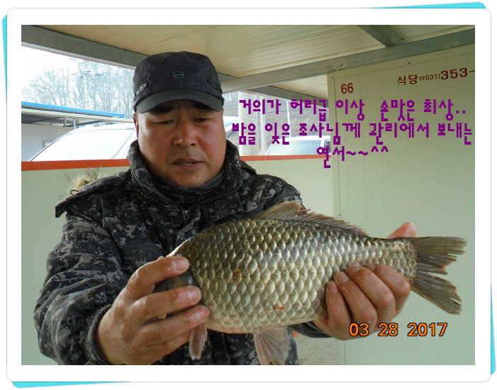 도심속의 작은 쉼터 화성 관리 낚시터입니다밤이 좋아라 (유료터정보 - 유료터점주조황)