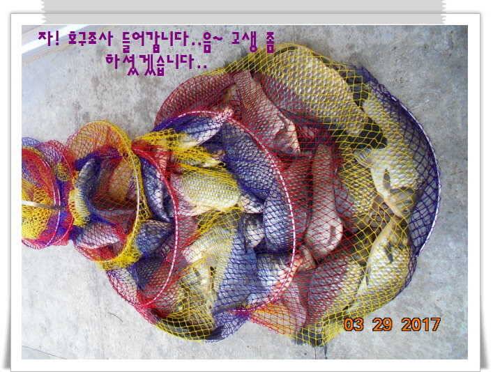도심속의 작은 쉼터 화성 관리 낚시터입니다밤이 좋아라 (유료터정보 - 유료터점주조황)