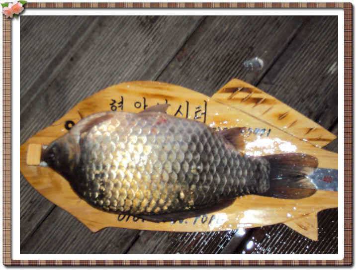 가을을 재촉하는 현암의 혹부리 (유료터정보 - 유료터점주조황)