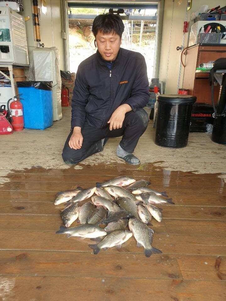 고삼지 안정적인 꾸준한 조항입니다 (유료터정보 - 유료터점주조황)