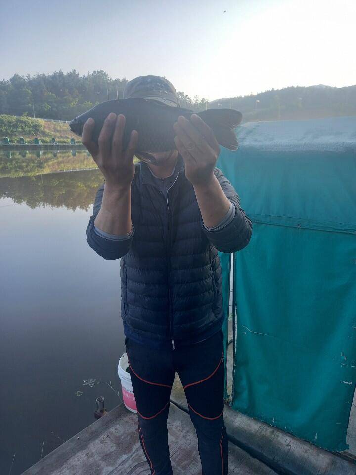 ❤경주 삼괴정낚시터 529일 경품추첨이벤트 및 조황상황❤ (유료터정보 - 유료터점주조황)