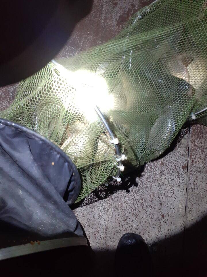 경주 동산낚시터 지난 조황 (유료터정보 - 유료터점주조황)