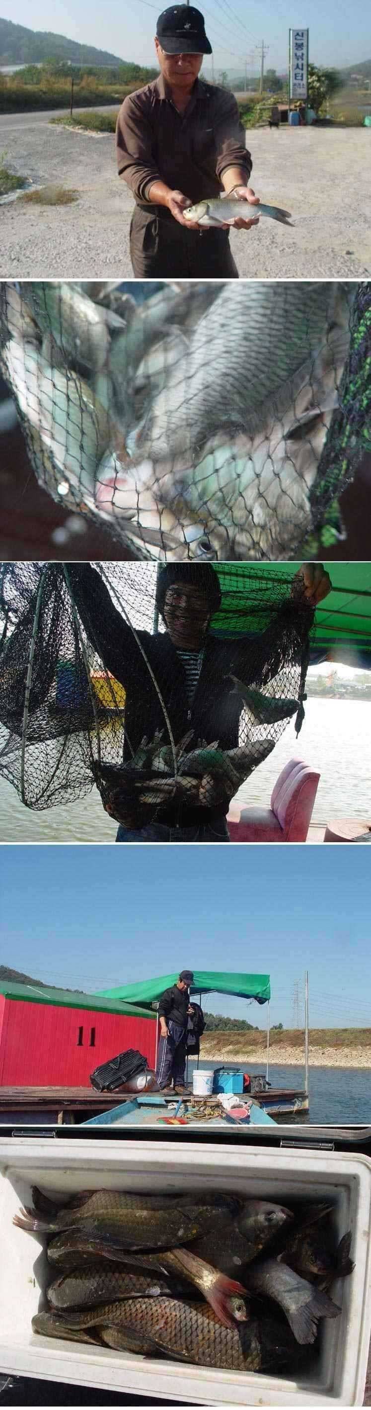 신봉지 조항 좋아요 (유료터정보 - 유료터점주조황)