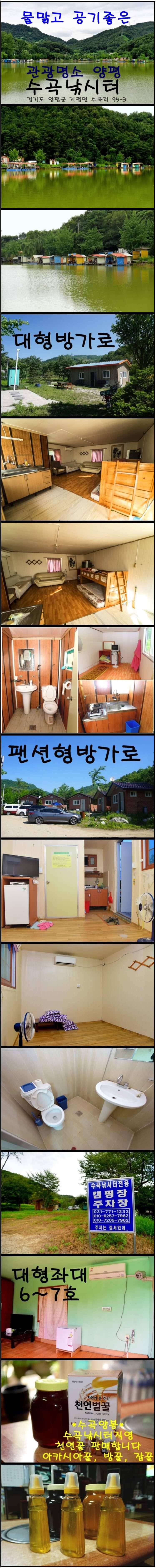 ♥ 관광명소 양평 수곡낚시터 지난주말 조황입니다 (유료터정보 - 유료터점주조황)