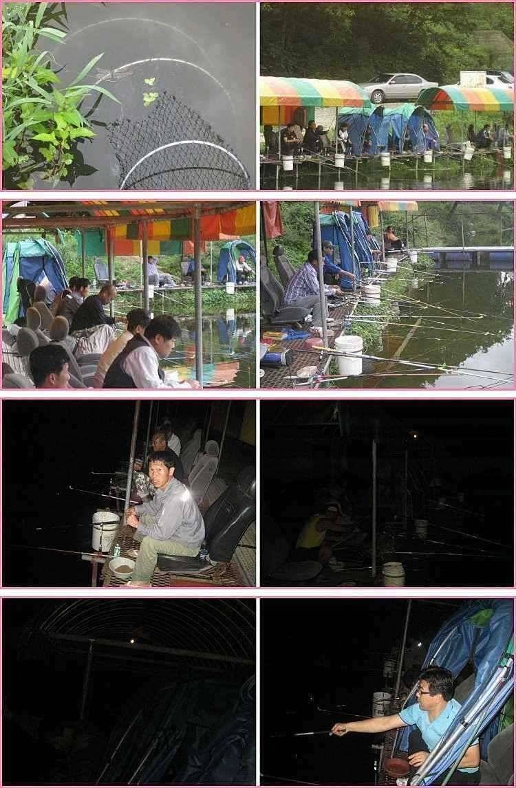 작대기 바늘 (유료터정보 - 유료터점주조황)