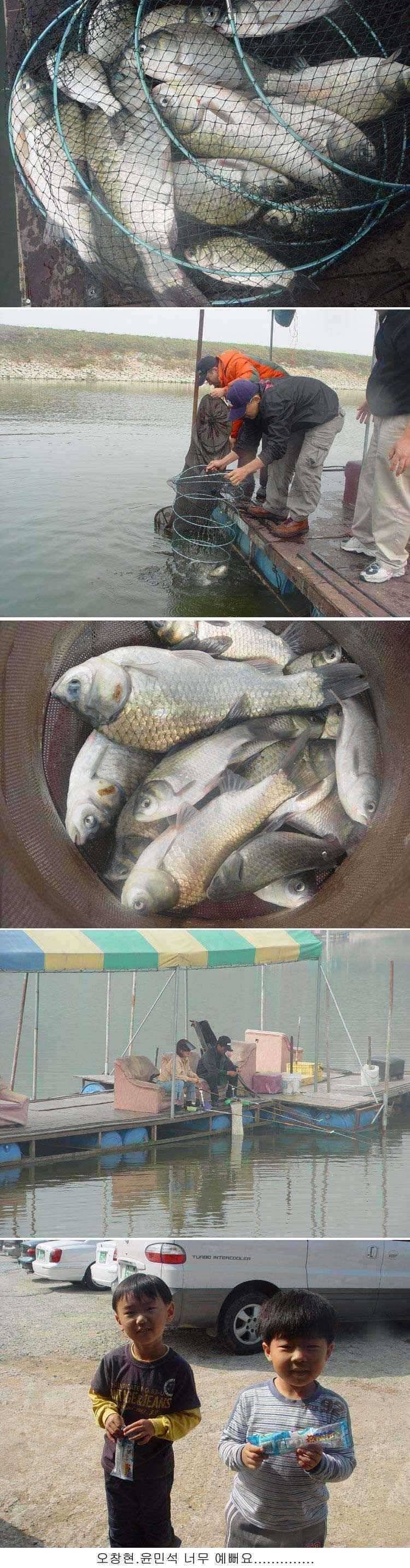 신봉지 조황 입니다 (유료터정보 - 유료터점주조황)