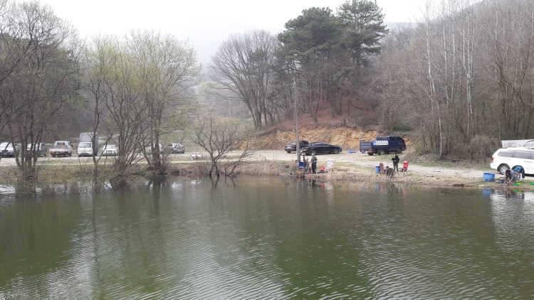 아산 산들낚시터의 4월9일에 올리는 모습입니다 (유료터정보 - 유료터점주조황)
