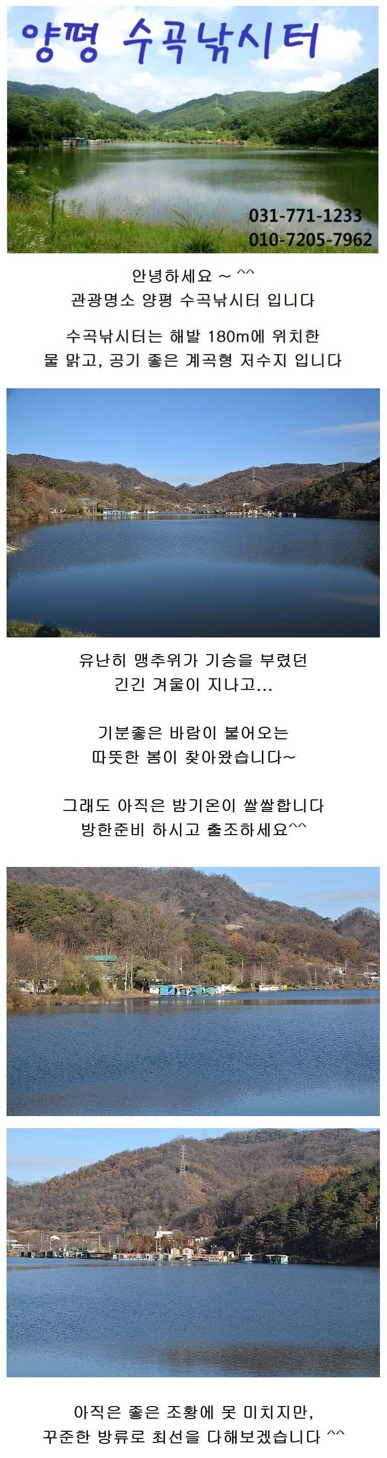 ♥ 관광명소 양평 수곡낚시터 지난주말 조황입니다 (유료터정보 - 유료터점주조황)