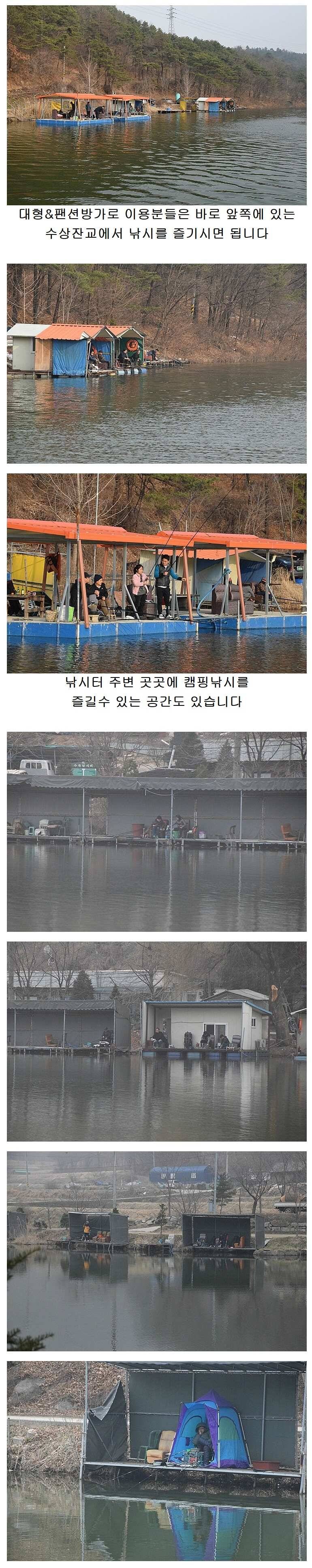 ♥ 관광명소 양평 수곡낚시터 지난주말 조황입니다 (유료터정보 - 유료터점주조황)