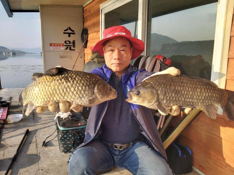 대물이 터져나오고 있는 수원좌대 (유료터정보 - 유료터점주조황)