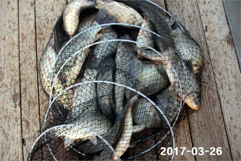 대박 (유료터정보 - 유료터점주조황)