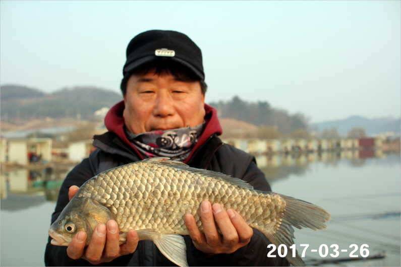 대박 (유료터정보 - 유료터점주조황)