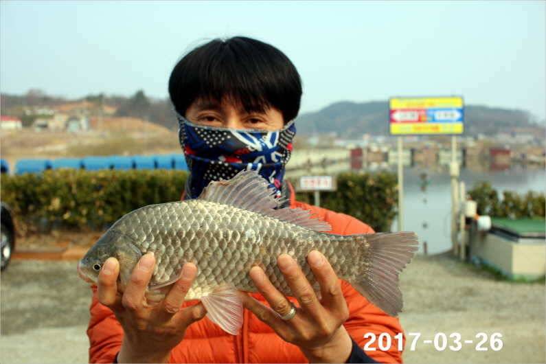 대박 (유료터정보 - 유료터점주조황)
