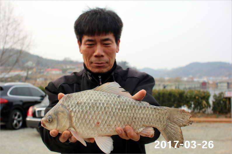 대박 (유료터정보 - 유료터점주조황)