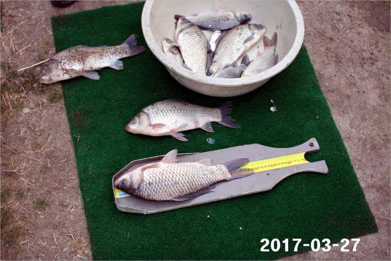 대박 (유료터정보 - 유료터점주조황)