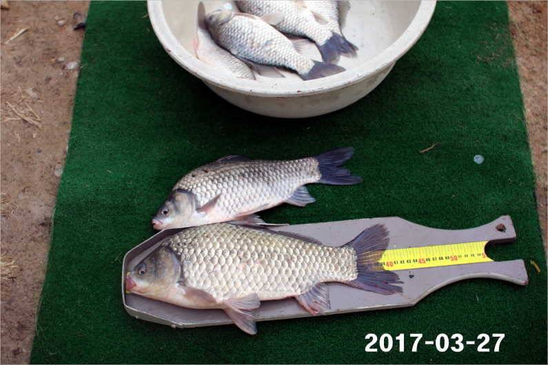 대박 (유료터정보 - 유료터점주조황)