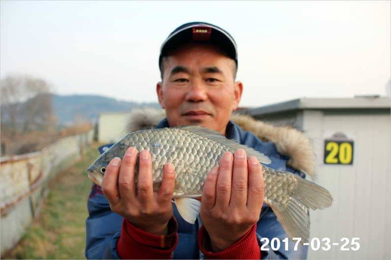 대박 (유료터정보 - 유료터점주조황)