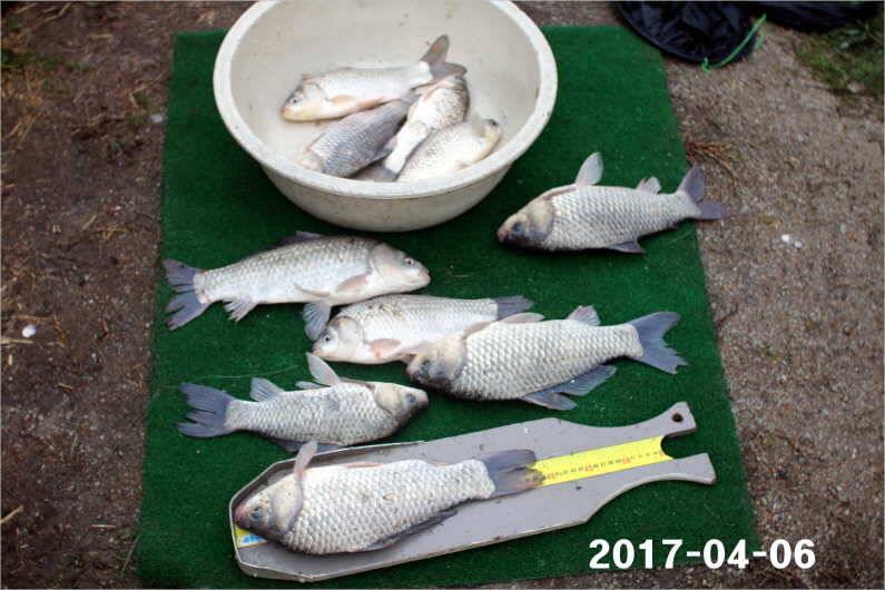 뒤집어진 저수지 (유료터정보 - 유료터점주조황)