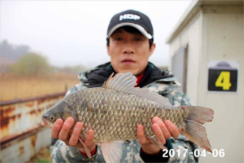 뒤집어진 저수지 (유료터정보 - 유료터점주조황)