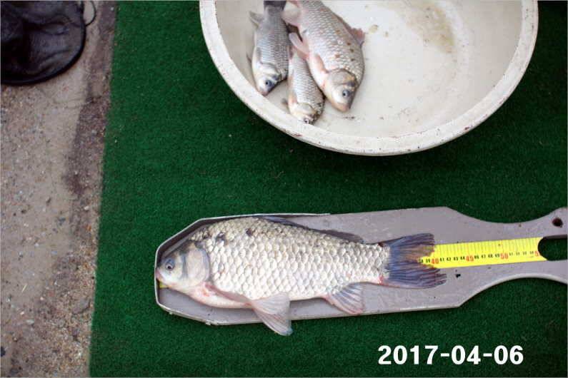 뒤집어진 저수지 (유료터정보 - 유료터점주조황)