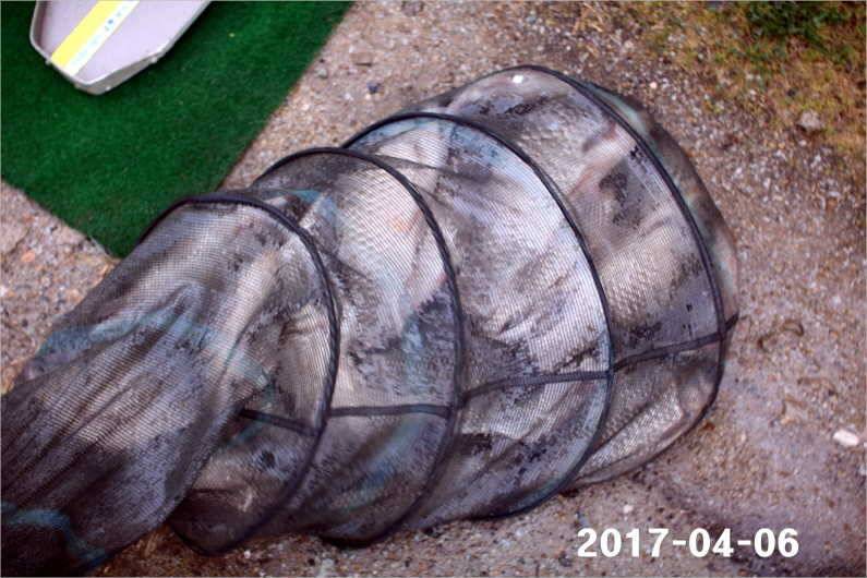 뒤집어진 저수지 (유료터정보 - 유료터점주조황)