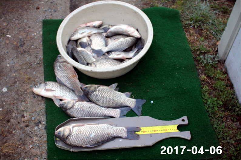 뒤집어진 저수지 (유료터정보 - 유료터점주조황)