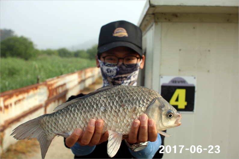 1년 12달 만수 (유료터정보 - 유료터점주조황)