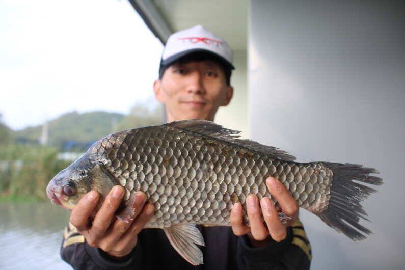 추석 이벤트 이모조모 (유료터정보 - 유료터점주조황)