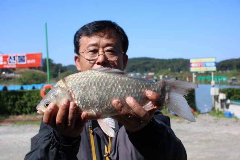 추석 이벤트 이모조모 (유료터정보 - 유료터점주조황)