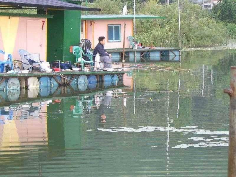 춘천 의암호 광명 낚시터 (유료터정보 - 유료터점주조황)