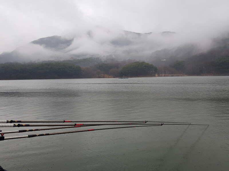 아산 산들낚시터의 구정 연휴 모습입니다 (유료터정보 - 유료터점주조황)