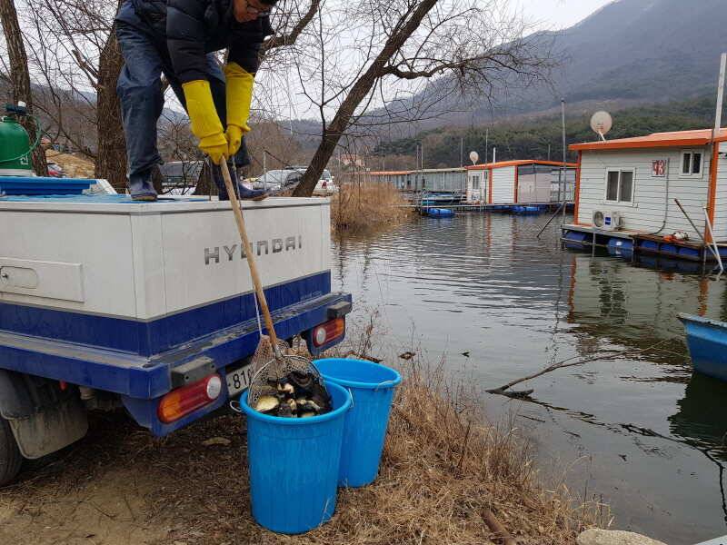 아산 산들낚시터의 구정 연휴 모습입니다 (유료터정보 - 유료터점주조황)