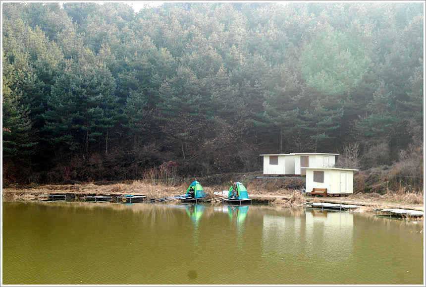 이어지는 주말의 조황 (유료터정보 - 유료터점주조황)