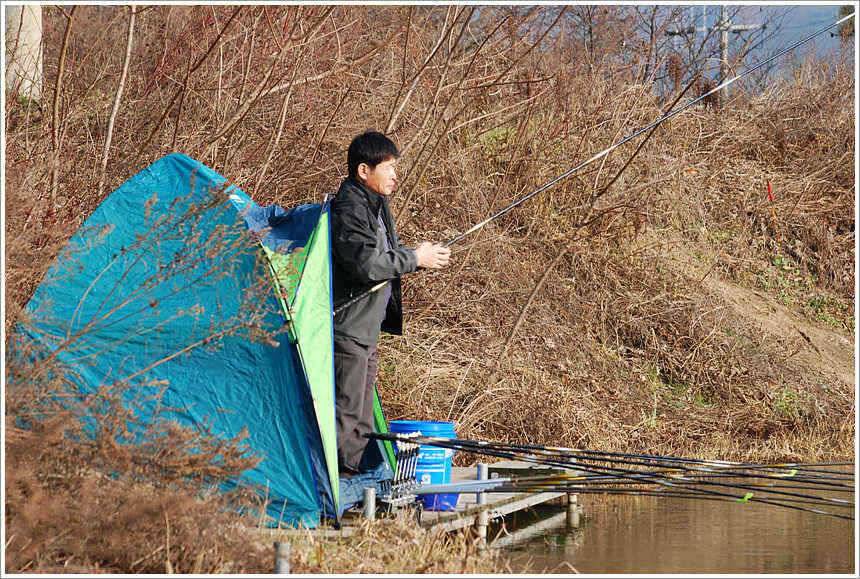이어지는 주말의 조황 (유료터정보 - 유료터점주조황)