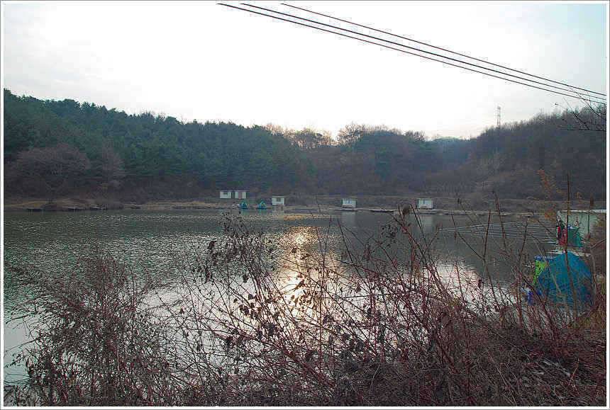이어지는 주말의 조황 (유료터정보 - 유료터점주조황)